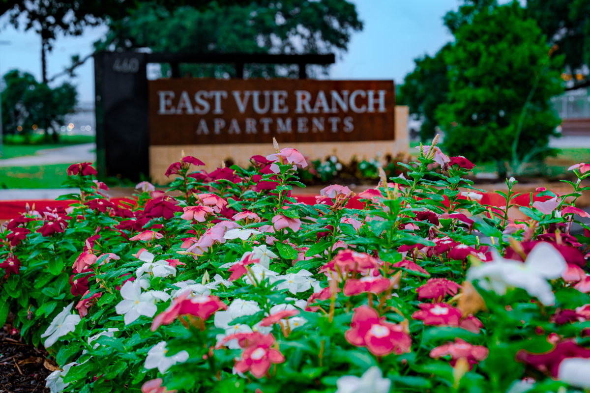 DSC06806 Entrance sign framed by flowers and landscaping